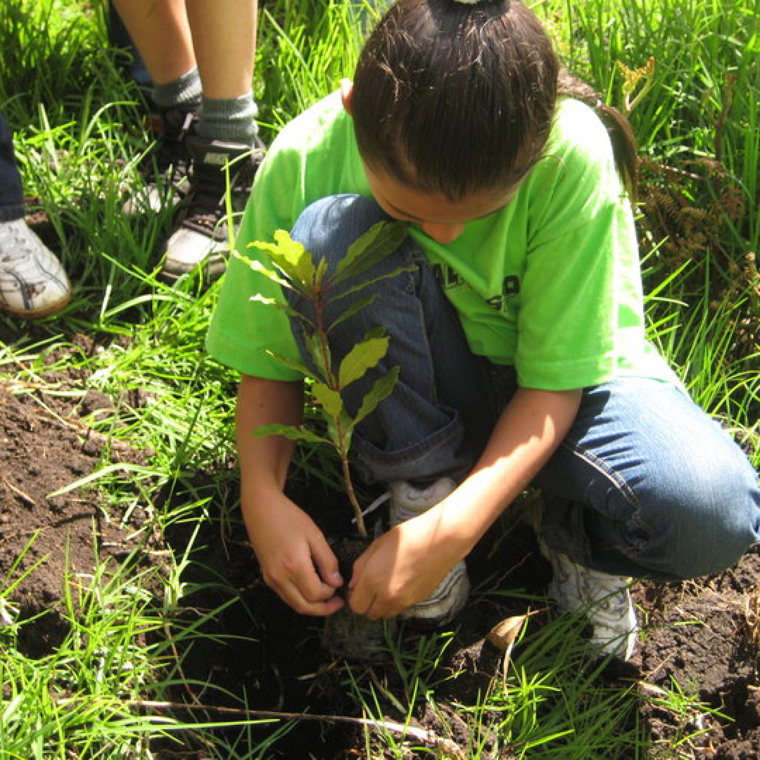 1914757_1423093170703_4829187_n